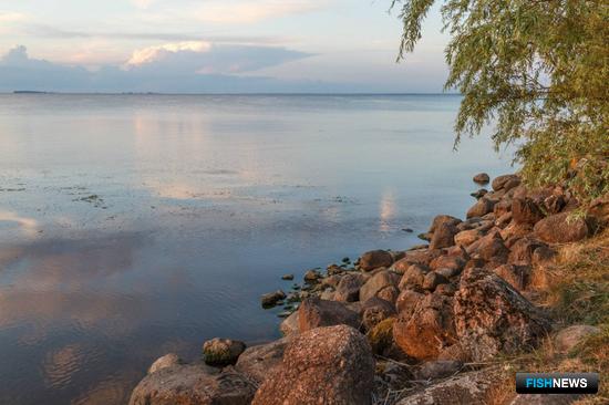 Россия и Эстония определили квоты на трансграничных озерах
