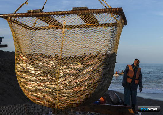 Субсидии и льготы: как помогают рыбакам Сахалина
