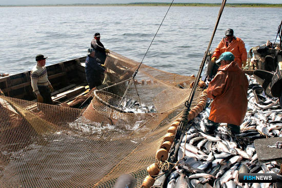 Обсуждение прогноза лососевой путины на Сахалине перенесли