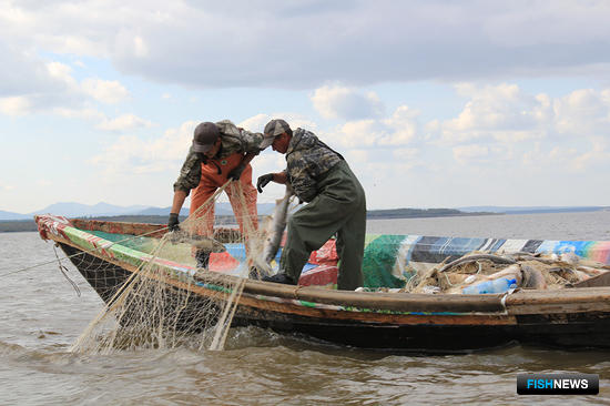 Рыбаки включатся в работу над стратегией промысла для Амура