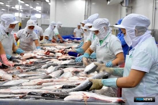 Рыбопромышленникам Вьетнама дали план на год