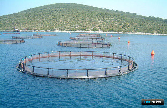 Крымские рыбоводы смогут переоформить участки