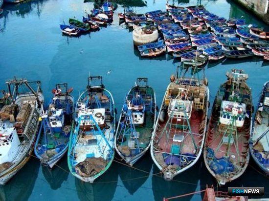 Марокко открыло воды для европейских рыбаков