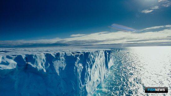 Работа над международным планом арктических исследований стартует в Архангельске