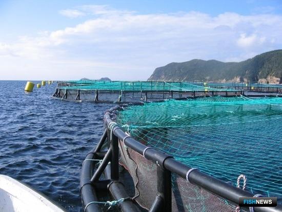 Крымским рыбоводам проведут ликбез по участкам