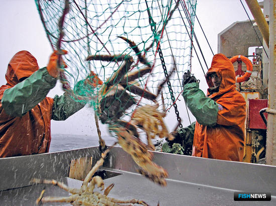 Регулятор соберет рыбаков для обсуждения крабовых квот