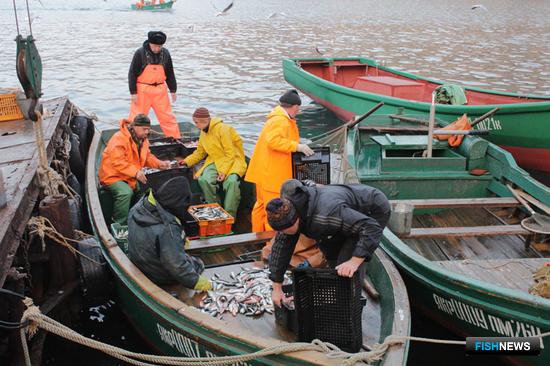 Югу России написали новые правила рыболовства
