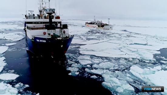 Рыбаки и ученые оценивают запасы Антарктики