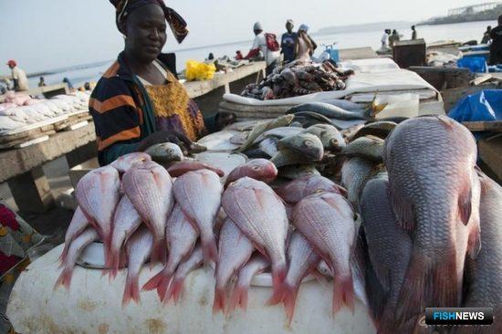Танзания решила закрыть рынок для рыбы из Китая