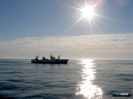 К июню ведомства продумают вопрос о рыболовстве «незаходных» судов