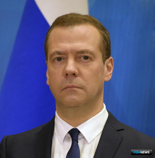 Дмитрий Медведев дал поручения в сфере контроля качества продуктов