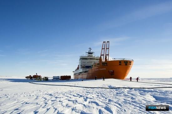 Экологию арктических морей исследует экспедиция