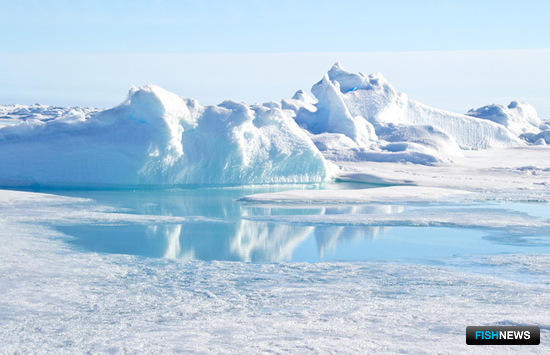Минвостокразвития передали Арктику