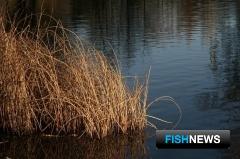 Рыбоводам Ставрополья помогут выкопать пруды
