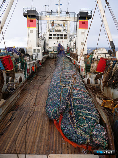 Рыбная отрасль увеличила налоговую отдачу