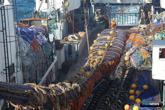 Процедура ОРВ по правилам рыболовства для Дальнего Востока идет к финалу