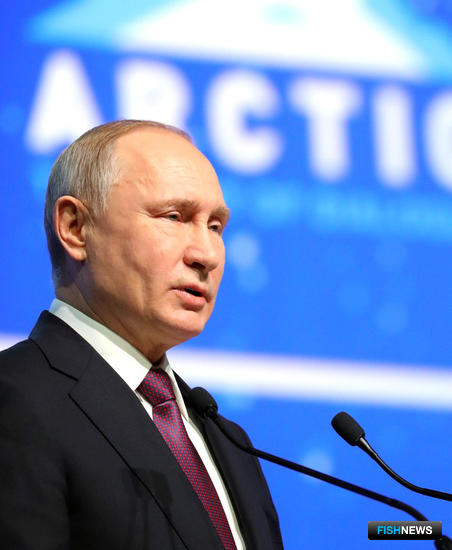 Владимир Путин рассказал об «арктических» планах