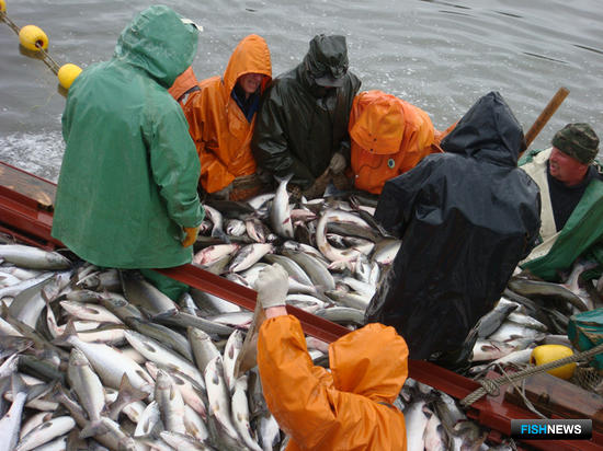 Лучших рыбаков Камчатки отметят специальным званием