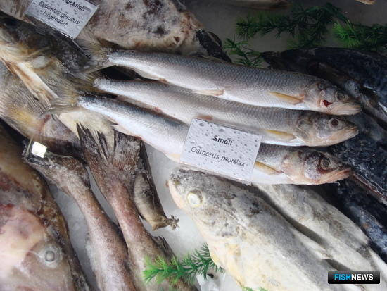 Рыба в ЕАЭС получит новые стандарты