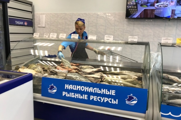
			Руководитель Росрыболовства посетил социальный рыбный магазин в Мурманском рыбном порту 		