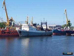 Запасы антарктического криля оценят ученые Запасы антарктического криля оценят ученые