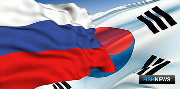 Россия и Корея договариваются о сближении экономик