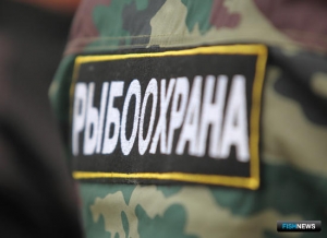 В России может появиться новый вид рыбинспекторов В России может появиться новый вид рыбинспекторов