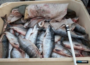 Рыбинспекторы оставили браконьера без улова и лодки