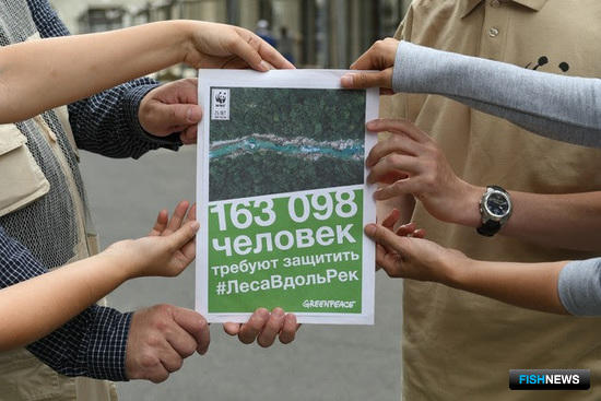 Россияне просят Владимира Путина спасти прибрежные леса