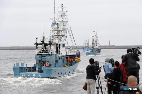 Флот Японии вышел на охоту за китами