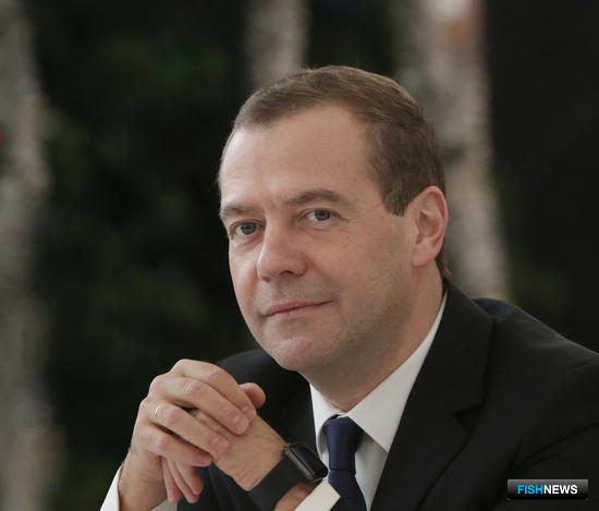 Загадочная резолюция Дмитрия Медведева