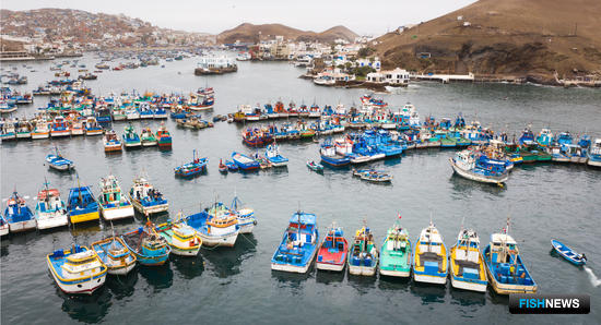 Рыбаки Перу пожаловались на чиновников