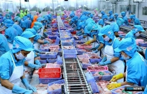 Вьетнам собирается прибавить в экспорте морепродуктов Вьетнам собирается прибавить в экспорте морепродуктов