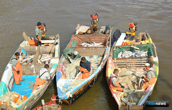 Рыбаки рассчитывают на конструктивную позицию погранслужбы