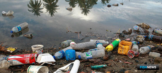 Черное море загрязнено пластиком и химией