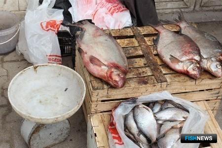 Хабаровский край ударит по торговцам браконьерской рыбой