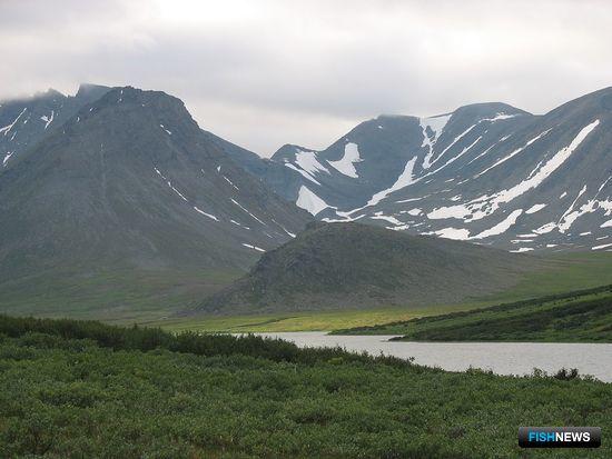 Сибирские озера предлагают аквафермерам