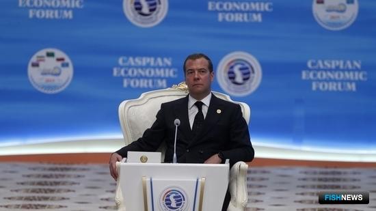 Дмитрий Медведев: На оздоровление Волги предусмотрели 200 миллиардов