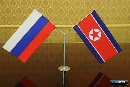 Северная Корея обещала заняться проблемой незаконного лова Северная Корея обещала заняться проблемой незаконного лова