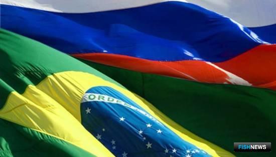 Рыбных поставщиков в Бразилию прибавилось