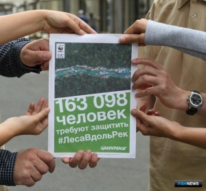 Экологи празднуют победу в «битве» за прибрежные леса Экологи празднуют победу в «битве» за прибрежные леса