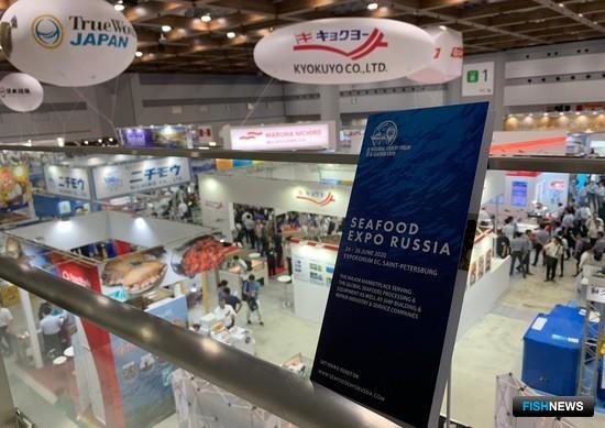 Seafood Expo Russia показывают миру