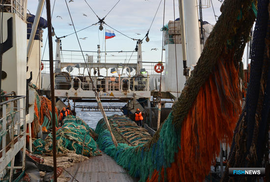 Рыбный бизнес призвал сохранить концепцию по налогам