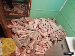 Капитан взял на борт буксира осетровых «зайцев» Капитан взял на борт буксира осетровых «зайцев»