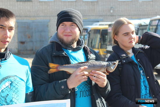 Марафон в защиту лосося завершили в Приморье