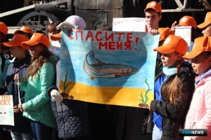 Марафон в защиту лосося завершили в Приморье Марафон в защиту лосося завершили в Приморье