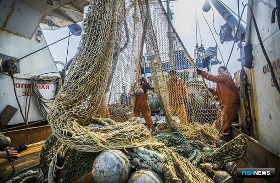 Приморские рыбаки наращивают уловы