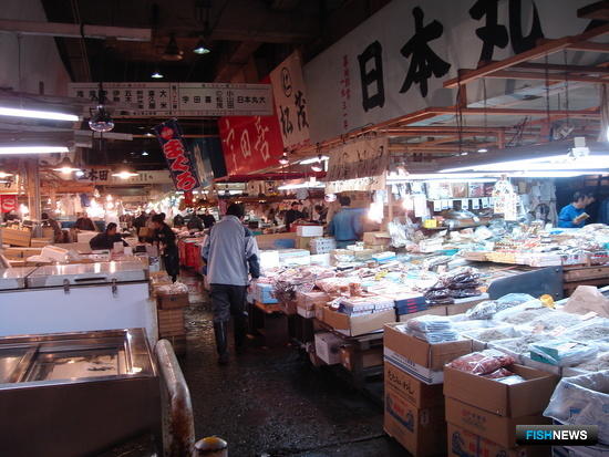 Нелегальные поставки рыбы в Японию стали предметом исследования