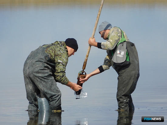 Госрыбцентр оценивает ресурсы озер за Уралом