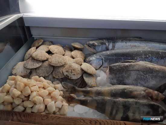 О развитии переработки рыбы на Северных Курилах рассказали в Циндао